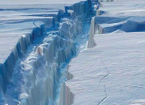 От Антарктиды может отколоться айсберг в 6,5 тысяч квадратных километров