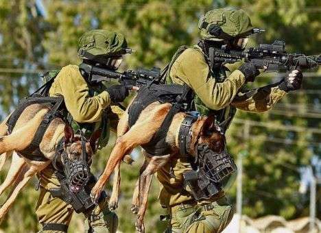 Долголетие израильтян объясняется службой в армии