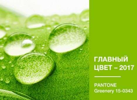 Эксперты сообщили, какой цвет будет модным в 2017 году