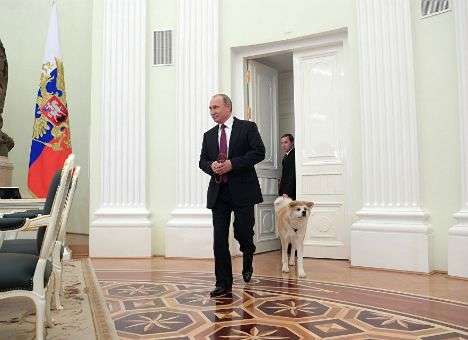 Путин вместо охраны пришел на встречу с японцами с собакой (ФОТО)