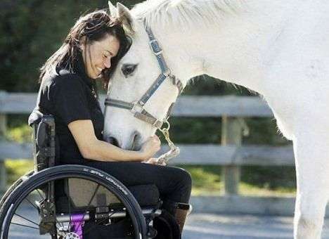 Топ 5 животных - лекарей: способностью лечить людей,обладают не только кошки