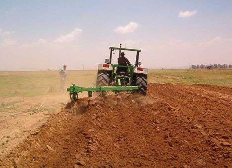 Херсонский агрохолдинг присоединился к призывам о возобновлении торговли с Россией