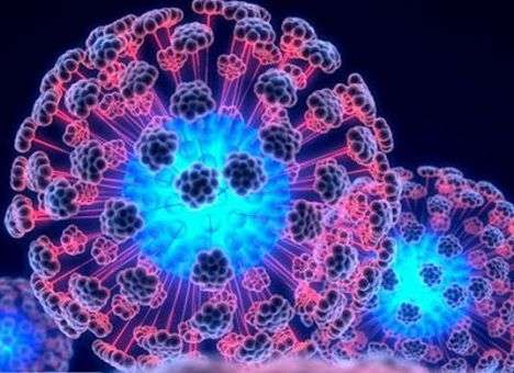 Чем опасно лечение стволовыми клетками, рассказали врачи(ИНФОГРАФИКА)