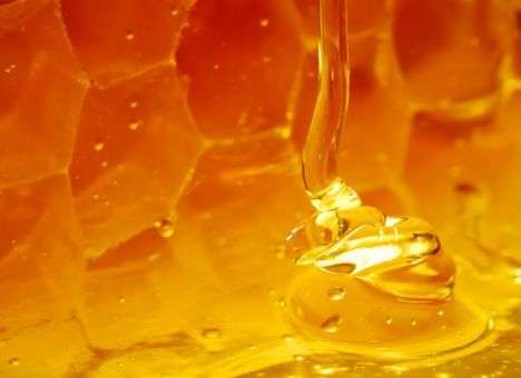 Украина уже экспортировала 50 тыс. тонн меда