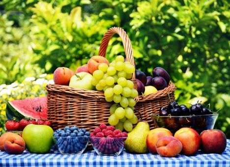 Как продлить жизнь на 30%, рассказали ученые