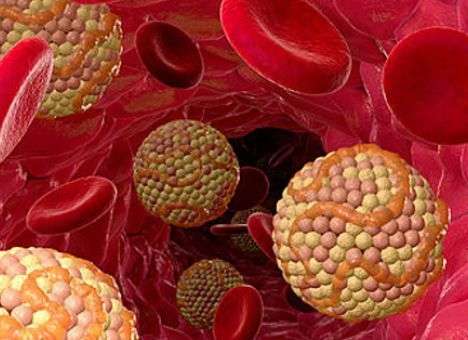 Как избавиться от смертельных болезней, рассказали эксперты