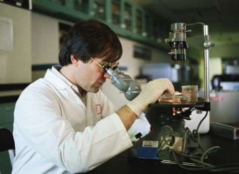 40-летних докторов наук лишат стипендий