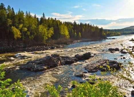 В России устроят настоящие «Голодные игры»