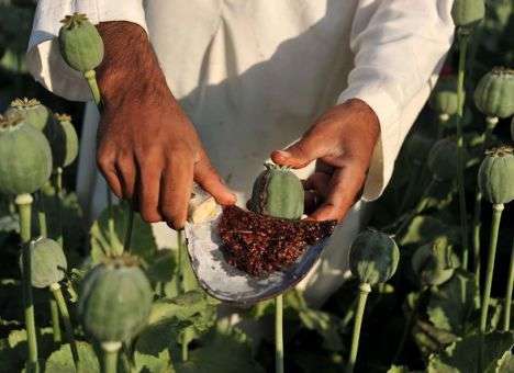 В Афганистане сожгли 98 тонн наркотиков