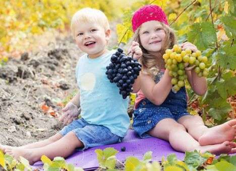 Медики назвали фрукт и овощ – «провокаторов» детской смертности