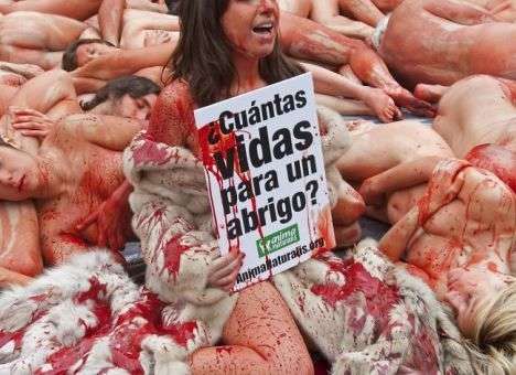Голые барселонцы протестовали против убийства животных