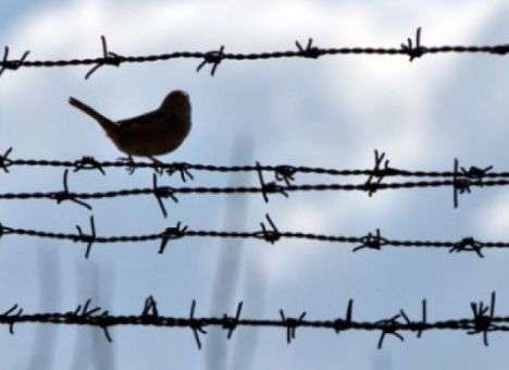 Рада одобрила закон об амнистии в 2016 году