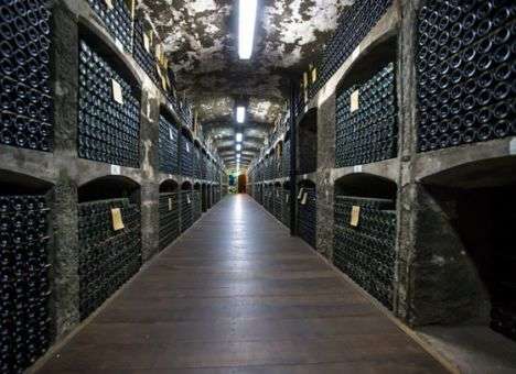 Украинская прокуратура хочет привлечь Берлускони за распитие крымского коллекционного вина