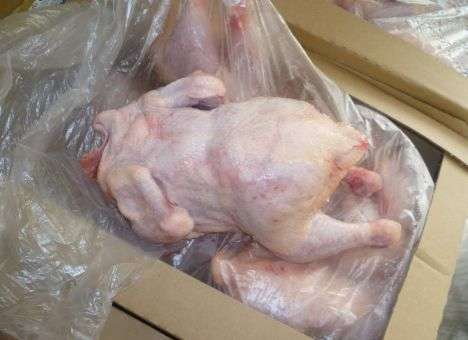 Польша может потеснить Украину на мировом рынке мяса птицы