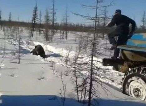 В Якутии ищут жестоко расправившихся с медведем водителей грузовиков