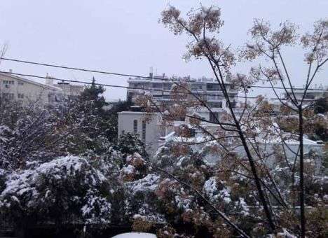 Столицу Греции накрыло снегом