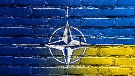 За 100 миллионов украинцев будут агитировать за НАТО
