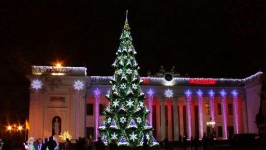 Составлен рейтинг елок в украинских городах по высоте