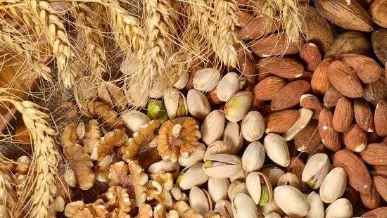 Как снизить риск развития сердечно-сосудистых заболеваний, рассказали специалисты