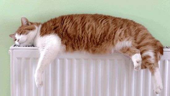 Как утеплить свой дом накануне холодов, рассказали специалисты