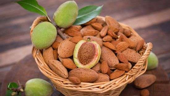Назван орех, который защитит от гриппа и вирусных инфекций