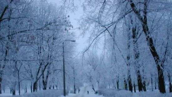 В Одесской области от переохлаждения погиб пограничник