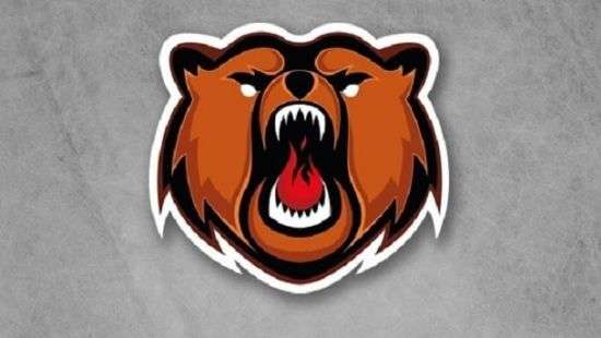 В России 12 хоккеистов из-за отравления оказались в больнице