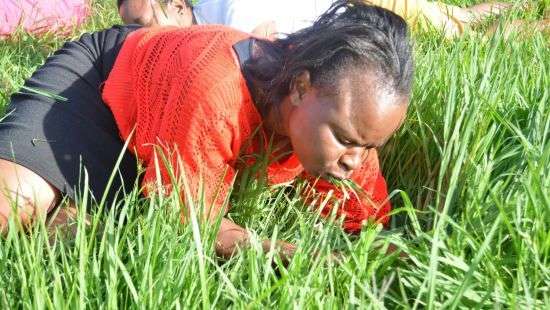 Семьи со странными привычками в еде