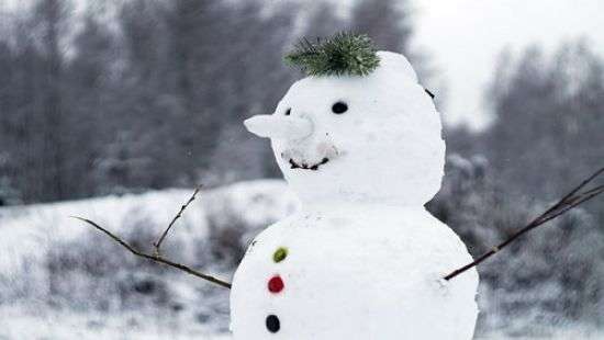 В Германии снеговик остановил поезд