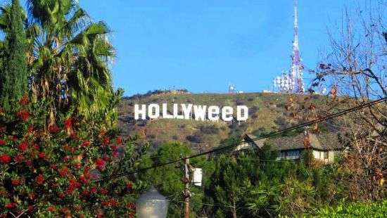 Шутник, посягнувший на Hollywood, сдался полиции