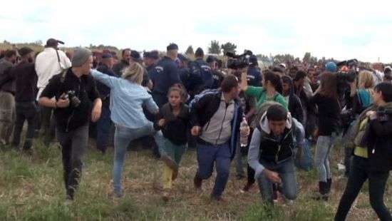 Венгерского телеоператора осудили за нападение на мигрантов