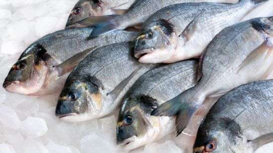 В Украине подорожают рыба и морепродукты