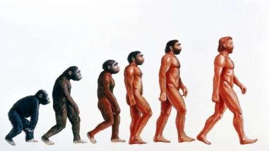 В школах Турции  отменили теорию эволюции Дарвина