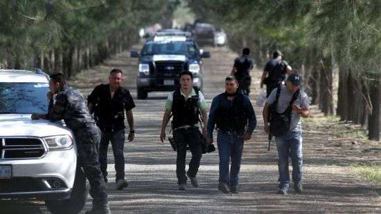 В Мексике нашли шесть обезглавленных бензопилой тел