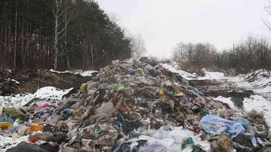 Львовский мусор отправят на экспорт