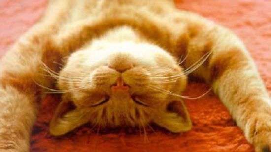 Как проводить выходные с пользой для здоровья, рассказали эксперты