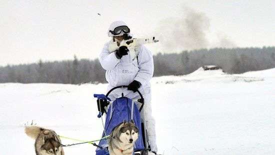 Российские военные пошли в «бой» на оленях и собаках (ФОТО)