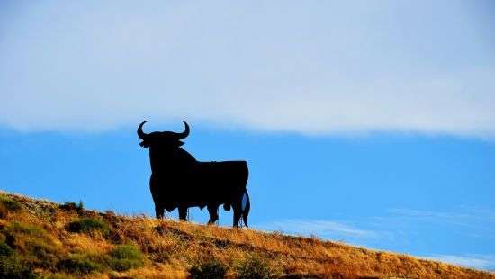 Быку не позволили символизировать Испанию