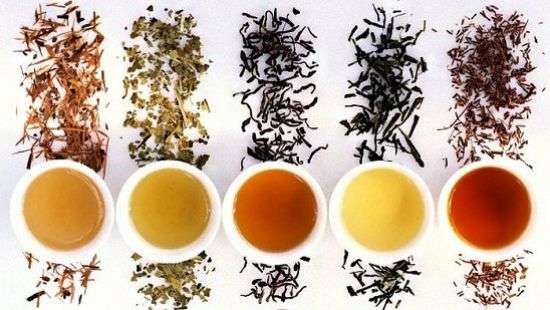 Характер человека, можно определить по чаю, который он пьет