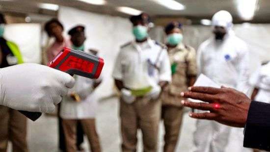 Бразилию охватила крупнейшая за 17 лет вспышка желтой лихорадки