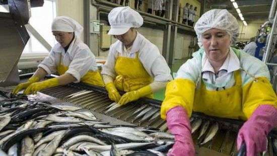 Стало известно, сколько украинцев работают в Польше