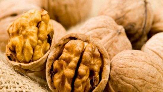 Украина лидирует в Европе по поставкам орехов