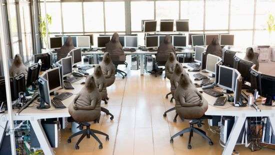 У «Ждуна» появятся «родственники»