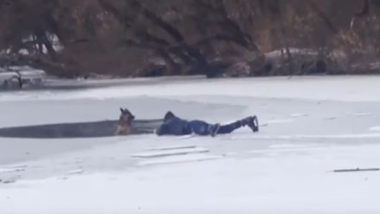 В Запорожье студент, рискуя жизнью, спас собаку (видео)