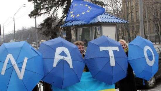 Gallup: украинцы недовольны НАТО