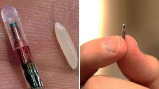 Бельгийская компания вживила сотрудникам чипы (фото)