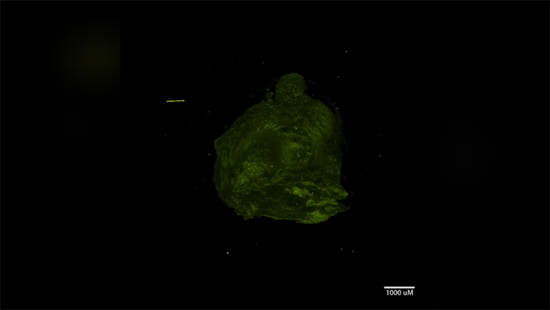 Учёные собираются исследовать рак в виртуальной реальности