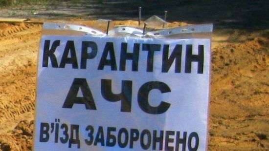 Украина стремительно теряет свиней