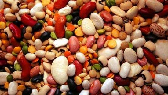 Медики сообщили, при какой болезни обязательно нужно кушать бобовые