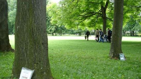 В Париже за оставленную на улице книгу выписали штраф в 68 евро